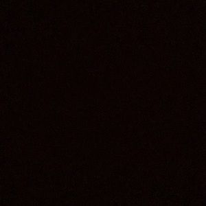 Meet your Posher, Ty